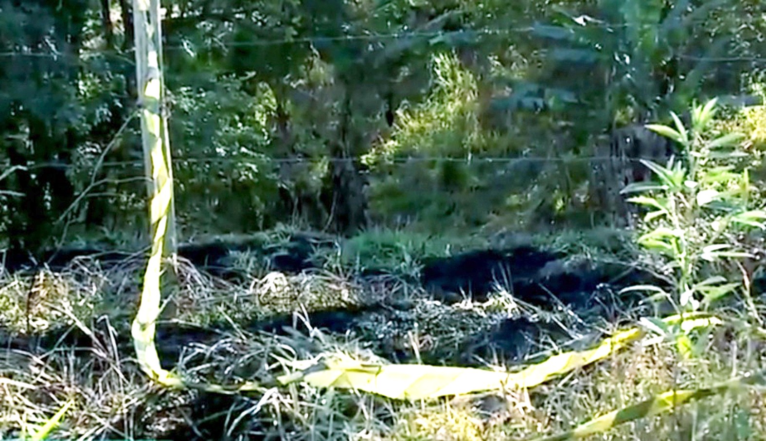Mulher é encontrada morta com o corpo carbonizado e perfurações na barriga em Monte Mor
