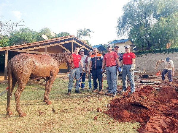 Cavalo cai em fossa e é resgatado por socorristas em Nova Odessa