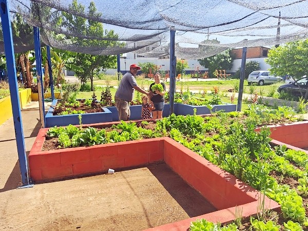Horta comunitária promove inclusão de assistidos em CRAS de Hortolândia