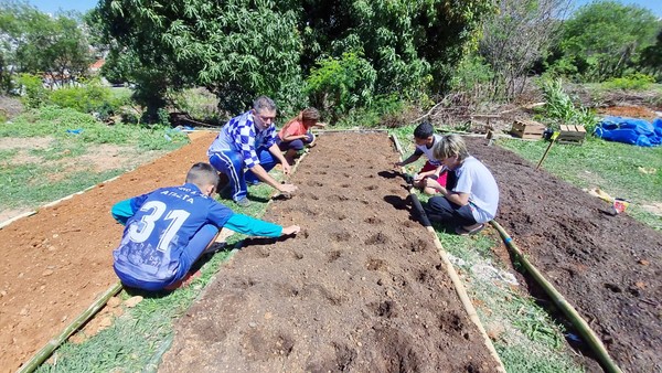 Crianças fazem plantio em área antes tomada por entulho em Hortolândia