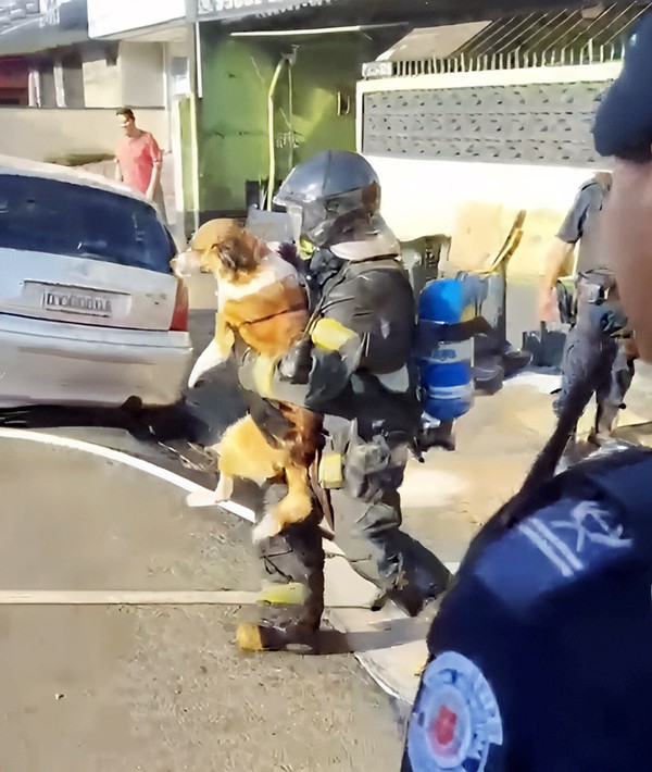 Casa pega fogo e quatro crianças acabam resgatadas em Americana