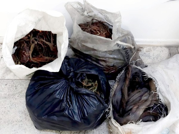 Homem é autuado por receptação com mais de 110 kg de cobre em Americana