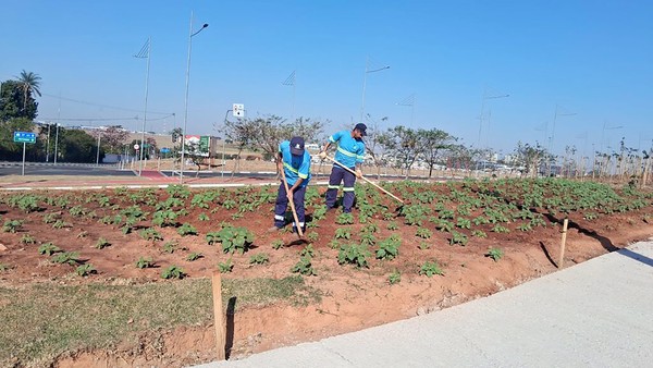 Hortolândia tem melhor pontuação no Programa Município Verde Azul e assegura 11º lugar no ranking estadual