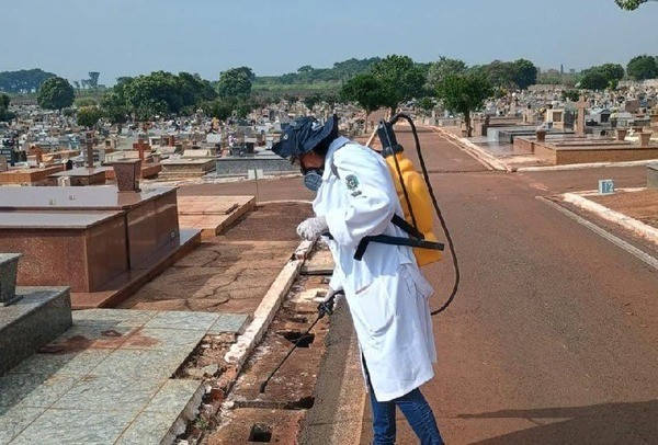 Chuva eleva ocorrências de escorpião e Sumaré alerta para ação preventiva