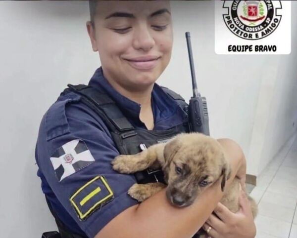 Homem é preso suspeito de agredir cachorro com barra de ferro em Nova Odessa