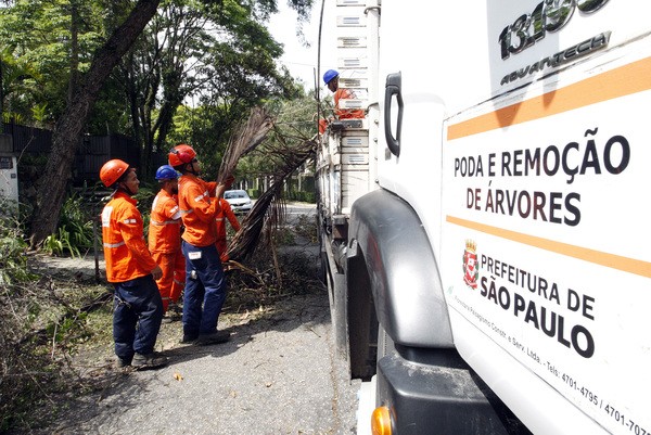 Douglas Guarita sugere licença emergencial para poda de árvores em Paulínia