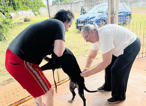 Sumaré imuniza 71 cães e gatos na 1ª vacinação antirrábica de rotina