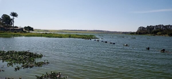 Homem morre após se afogar na Represa do Salto Grande, em Americana