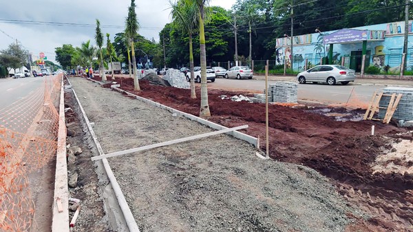Empresa é multada após supressão irregular de árvores em obra na Avenida Rebouças, em Sumaré