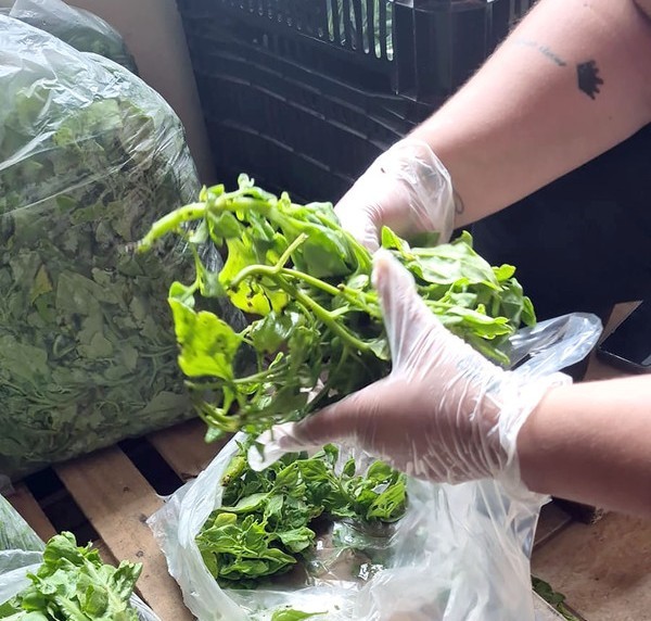 CATI Regional distribui alimentos do PAA para famílias de Monte Mor