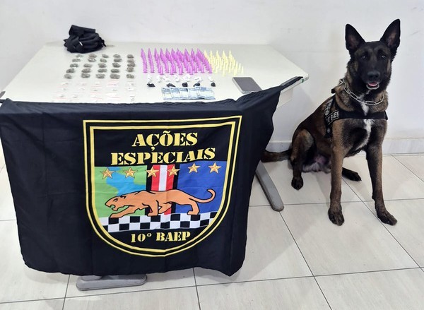 Baep apreende drogas após ação com cão farejador em Sumaré