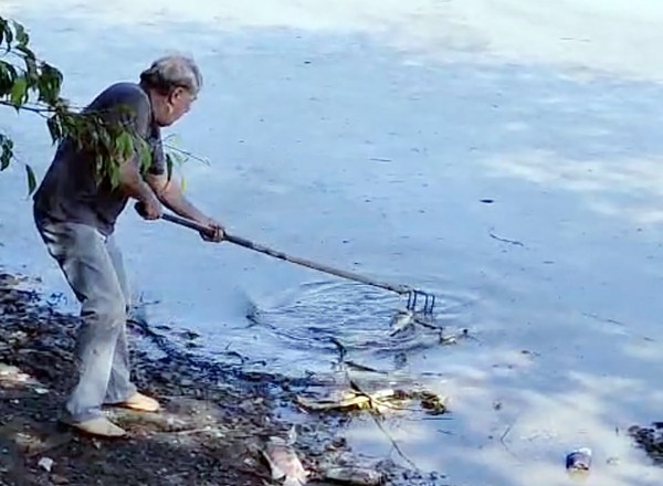 Moradores registram mortandade de peixes em lagoa em Monte Mor
