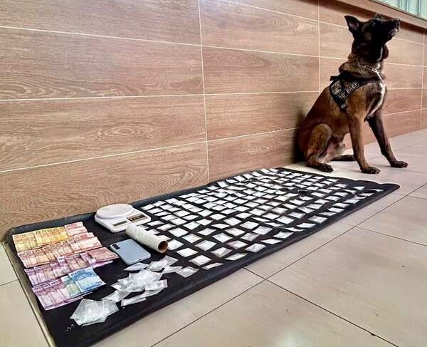 Baep prende homem com 172 porções de cocaína com ajuda de cães em Sumaré