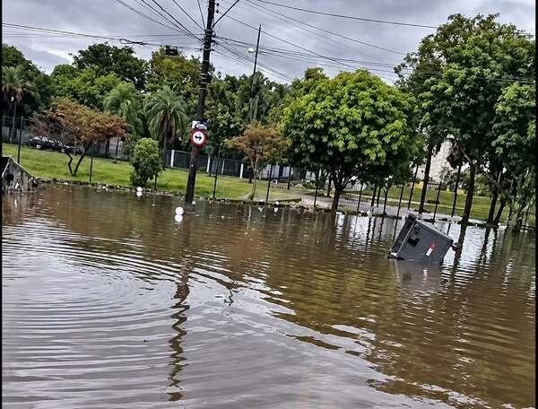 Temporal derruba 14 árvores, causa alagamentos e cancela eventos em Paulínia